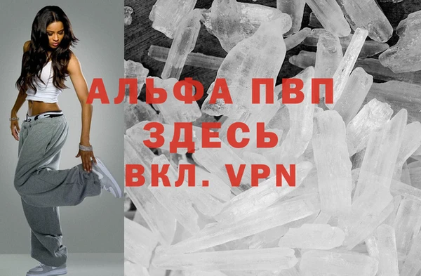 хмурый Кодинск