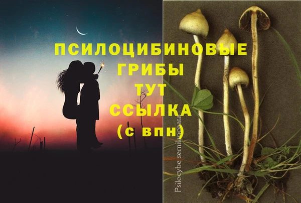 дмт Козловка