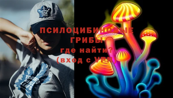 хмурый Кодинск