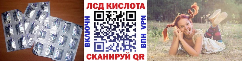 LSD-25 экстази кислота  Новоржев 